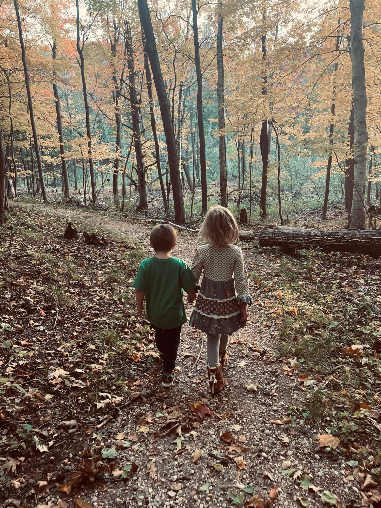 Mindfulness in the Moment